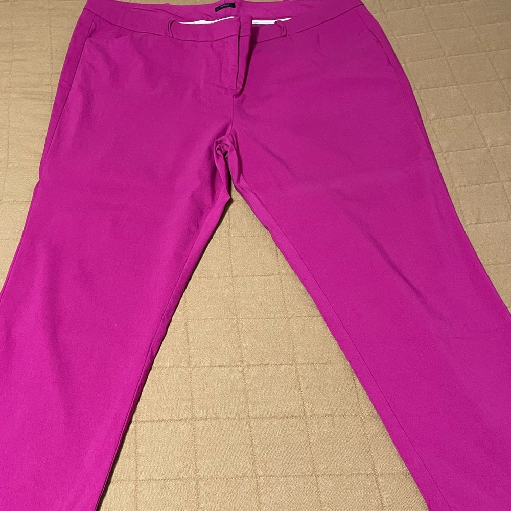 Worthington hot pink ankle pants 20w